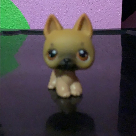 lps - Picture 4 of 7